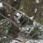 PHOTO-2021-02-19-13-53-03 (6)